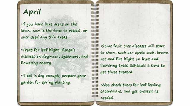 Southern Oregon Tree Care April tree calendar