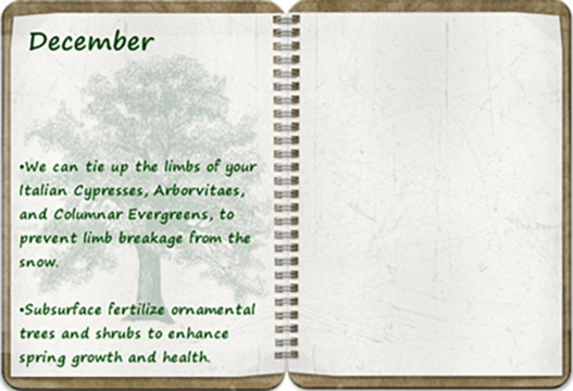 Southern Oregon Tree Care December tree calendar