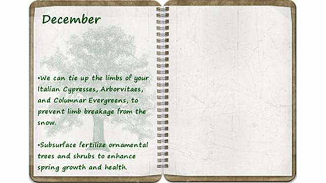 Southern Oregon Tree Care December tree calendar