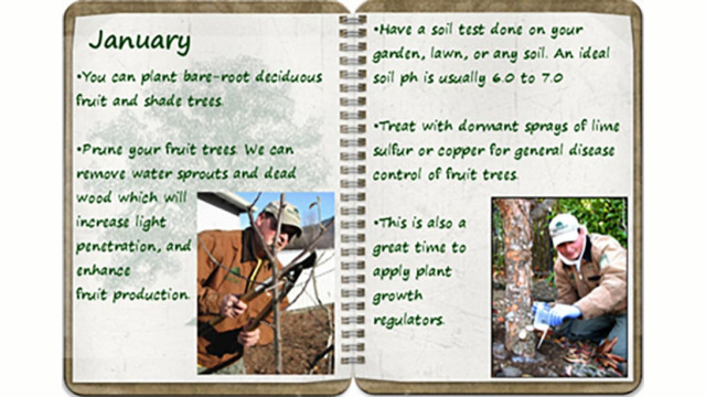 Southern Oregon Tree Care January tree calendar