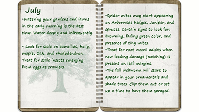 Southern Oregon Tree Care July tree calendar