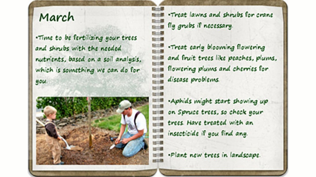 Southern Oregon Tree Care March tree calendar