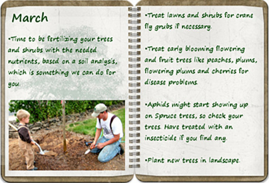 Southern Oregon Tree Care March tree calendar
