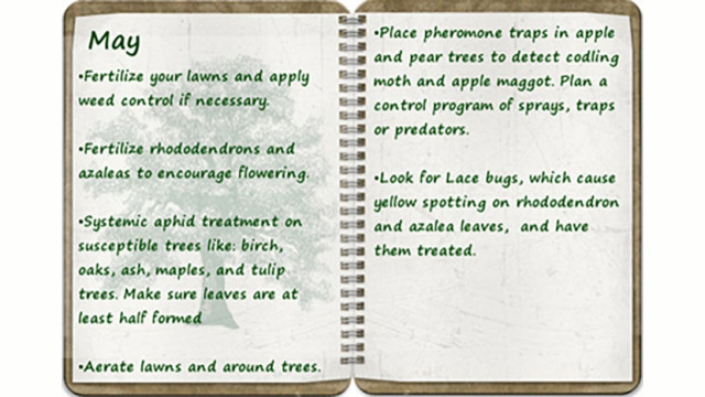 Southern Oregon Tree Care May tree calendar