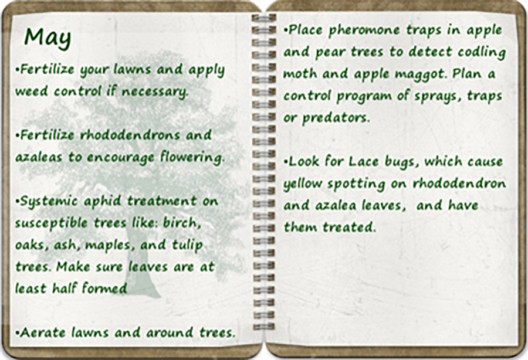 Southern Oregon Tree Care May tree calendar