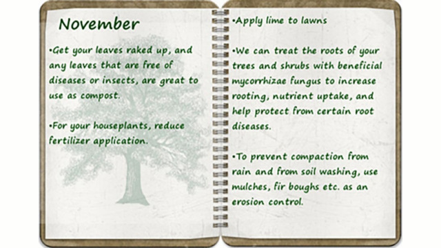Southern Oregon Tree Care November tree calendar