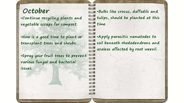 Southern Oregon Tree Care October tree calendar