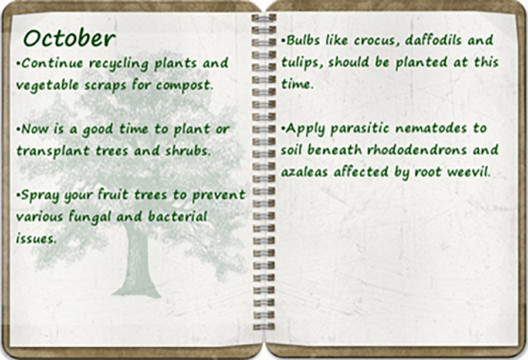 Southern Oregon Tree Care October tree calendar