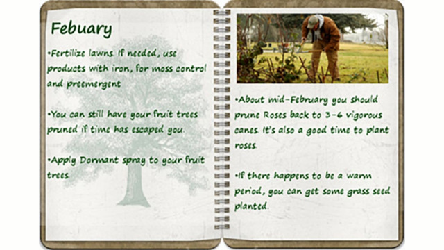 Southern Oregon Tree Care February tree calendar